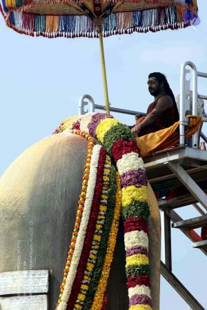 20180101 7T9A0327 CMP WM 0011.jpg