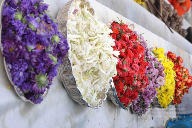 20180101 Photo 1030 1P5h4Ah jeGd3sICdut-3eS6TTcjKNi5p.JPG