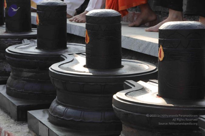 20180101 Photo 1069 1NOsZpXh3SSH31VBq3yQqbDXbO7cyXaF6.JPG