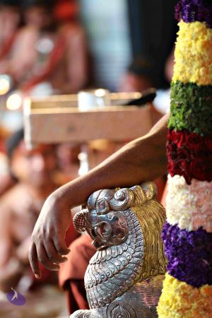 20180101 Photo 1169 1DltnqL-xUOK8BDeZn2J97QPEHxpTmdgl.JPG