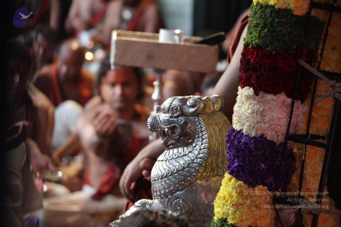 20180101 Photo 1449 1X5TkBWUQiB6aRe5MjpXlbdJ3dfB1vAVQ.JPG