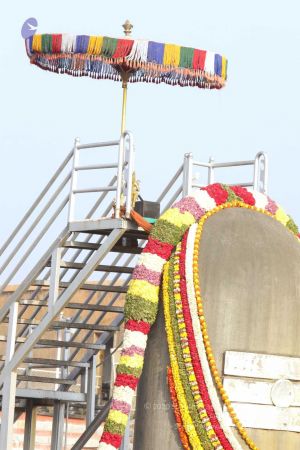 20180101 Photo 324 1KfxzaUVyZw--mvOQq9-TBuO Wf1Ok0sn.jpg