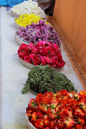 20180101 Photo 368 1vTiUZXLd7uDLldN BYCo54jpHvHZe3To.jpg