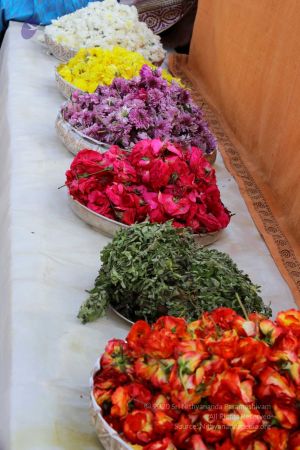 20180101 Photo 369 1mCaNjoevBVwKUzoVC9C0MYD0oAAgyuk7.jpg