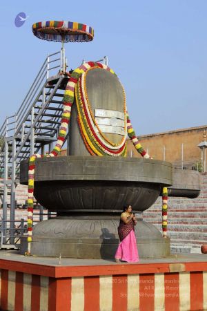 20180101 Photo 401 13rzaoW0aEaV8GmevTcMy6egtC3W1eJjS.jpg