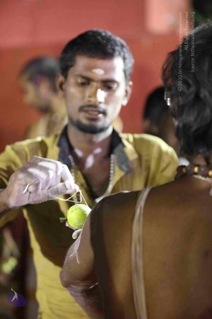 20180103 Photo 1089 1JsjTlq4TnZjeU-68CaSUylROcM0KlwCk.JPG