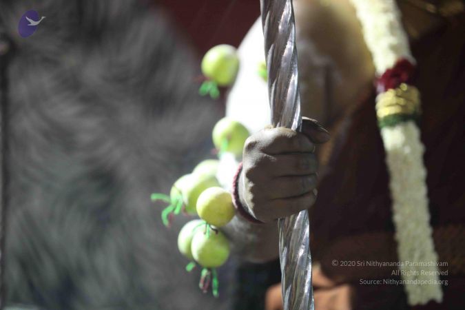 20180103 Photo 1157 1UQuMDMxSqMjtujbMGR1mwv4hzXdM-Pro.JPG