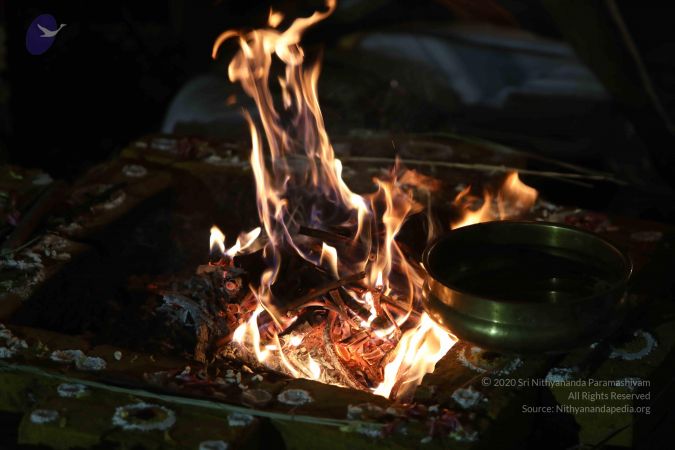 20180105 Photo 1412 15TEb3jfSQgbVA2nQYwDGdzOrHtOpZFug.JPG