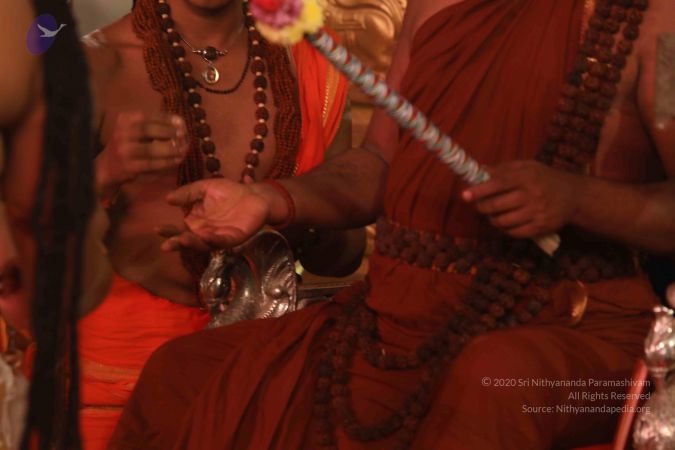 20180106 Photo 1180 1RW8kmaMEQjcgoJK0xb5bgyRAq0I6BaMj.JPG