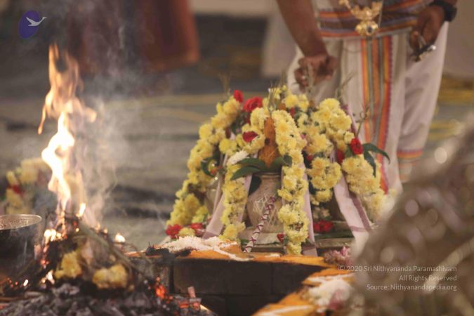 20180106 Photo 1246 13Ye2gusaFpbu47bUwMpWuO2sOtpCDO5E.JPG