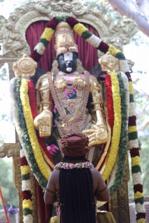 20180109 Photo 1143 1EDvOYnU-5WSI5Y4RznJpIXcECIttivSC.JPG