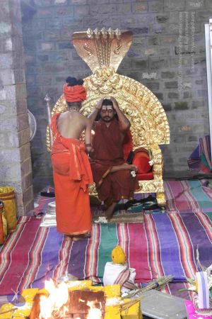 20180113 Photo 1094 1yqzYlVxly1YGpNTuct7JzSZ jR V2YMe.JPG