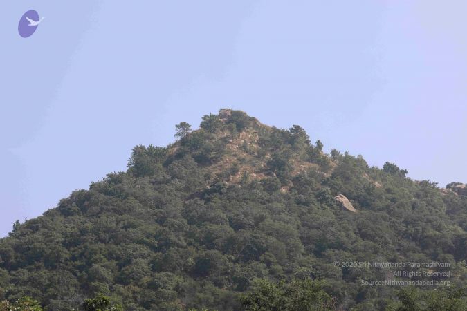 20180114 Photo 1057 1YRud5KEFQB9dmGdjt5P7zG6iB7acr7B-.JPG