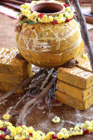 20180114 Photo 1064 1tchM5tbVSug3-xgZhGGtbdFlC wSzQ4O.JPG