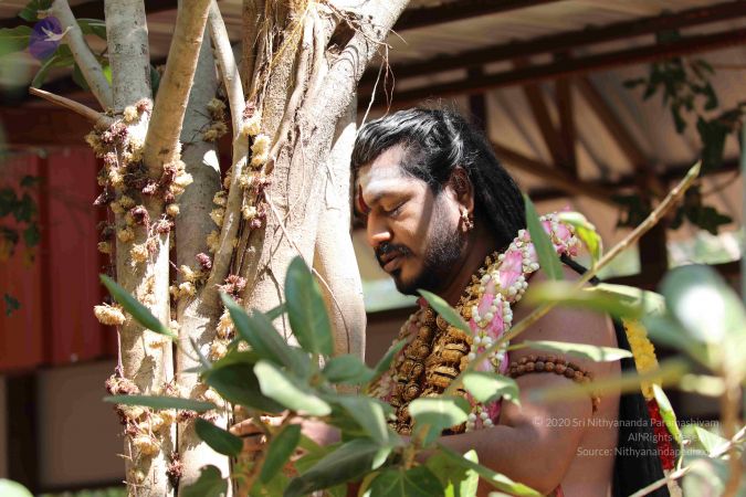 20180114 Photo 1123 1XFtFX8tb4LNo9pgVy wb6LdR9Fsh8kvZ.JPG