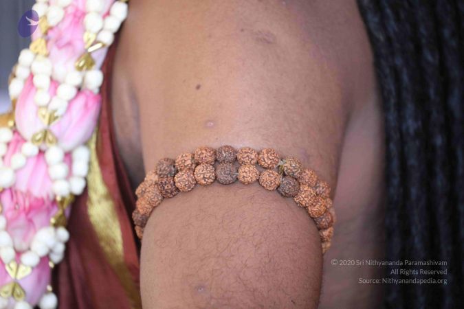 20180114 Photo 1185 1pKpAmUqJTR1UFGEyNw7FA89-PYkPRpWY.JPG