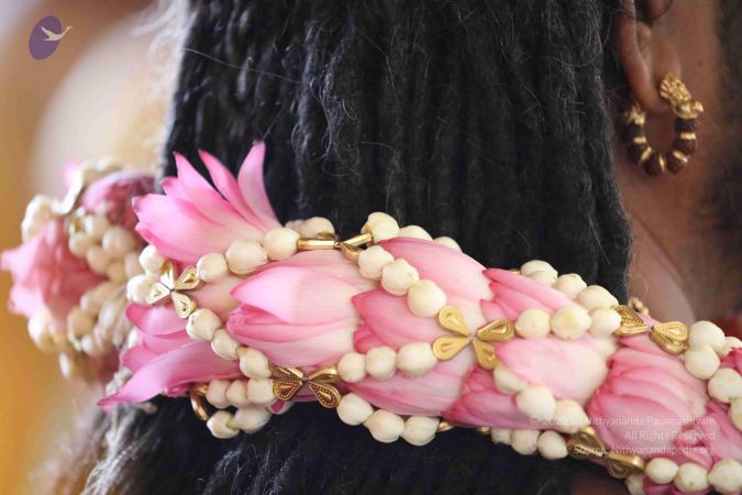 20180114 Photo 1208 1LPMFBeqzDeNt 94uz-P2YbEghSfluQGx.JPG