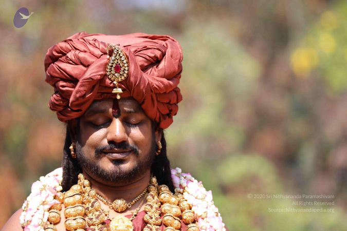 20180114 Photo 1346 1xt5FdDXZcwPVJmi-RsRHnZ0R6EA7t4qc.JPG