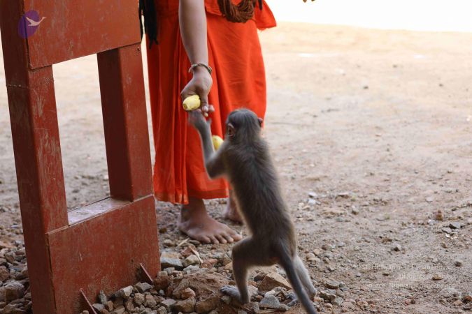 20180114 Photo 1387 1EBO98Cb6eq7 p1URb2O0o-vATYKFSjbw.JPG