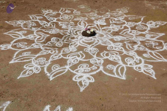 20180114 Photo 1423 1Xqzk8DmDsxnp98Jv7fPFkF9aW98Bi6y0.JPG