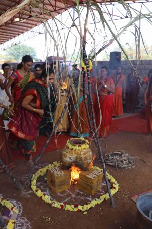 20180114 Photo 1442 1HOJJOP4wffbQXx6wRSakPksHQ2CVrBwI.JPG