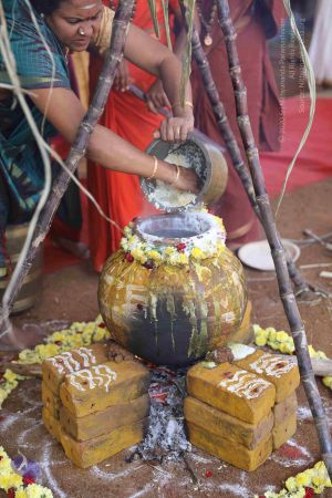 20180114 Photo 1492 1eCqhMiFlEpAbpxrEldMN1oDf6LhA43pH.JPG