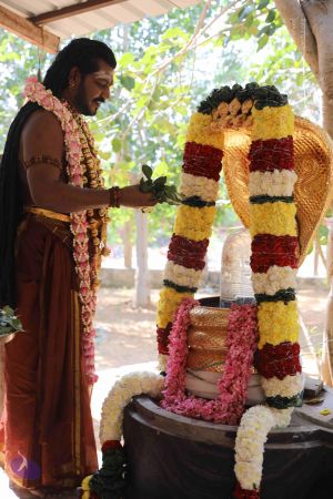 20180114 Photo 1554 1 7I3mQgm9CwH -B6ThNJbhTq-1YofRQm.JPG