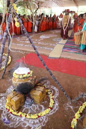 20180114 Photo 1602 10E Ak9oLAF-3I9OdmJq9M8lcd5qiMlbX.JPG