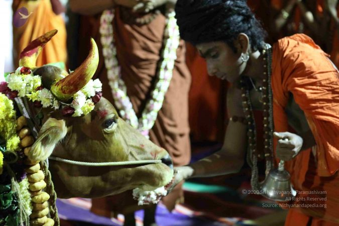 20180115 Photo 1041 1q46rwisVu2XbozQfL2CqHK Co OKozNb.JPG