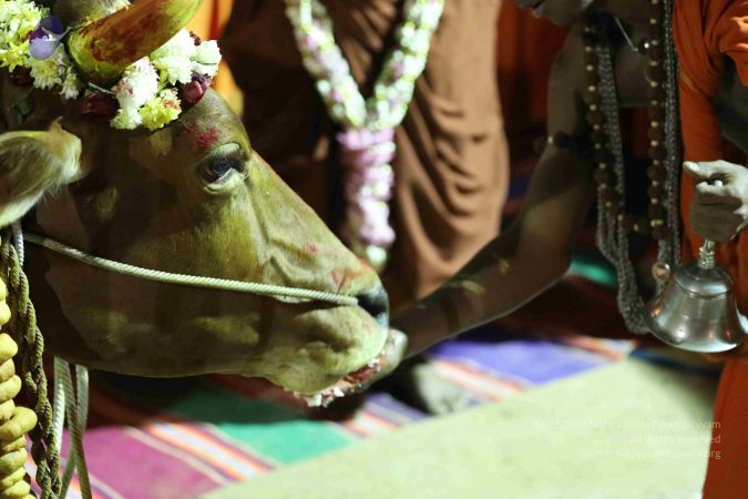 20180115 Photo 1042 1nQBfCj v4ZgTKi1C98zvnc-n5sVjxtO9.JPG