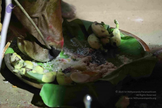 20180115 Photo 1049 1zOc6kVkxW0YKI03omGoKHH7ffAc8hWVB.JPG