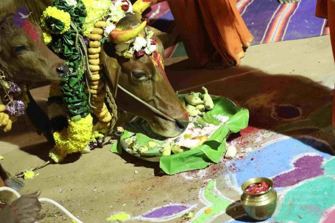 20180115 Photo 1050 1JebIBBU4srWpwbpYYXWFjTKIcjmSGAz9.JPG