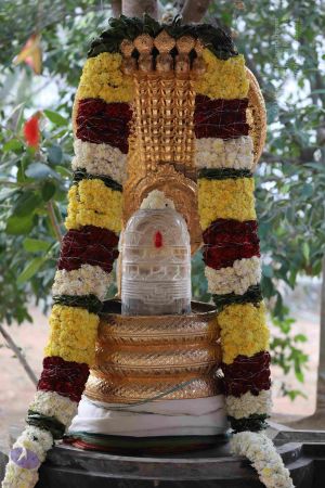 20180115 Photo 1082 1G5K-OHszYPb9PTw41P71gR41V2w m Rz.JPG