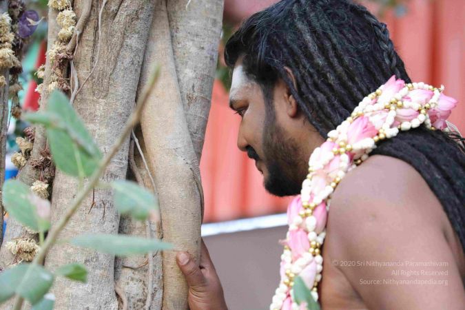 20180115 Photo 1085 1nX54SQYE2IeN0k6JOVXz8aYK6ACJT4q-.JPG