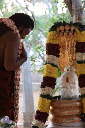 20180115 Photo 1086 11B9ZT1pdrW-s-V0kD20NcZpW3E4MDNK .JPG