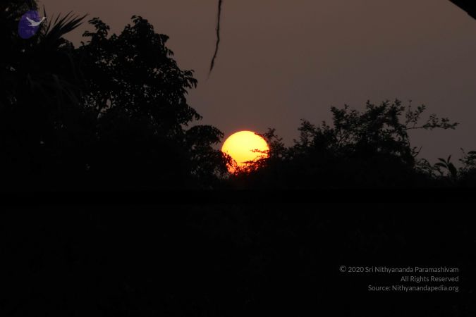 20180115 Photo 1110 1 8IpycX3H6K2LGHk45gN81AE5OVuMIHX.JPG