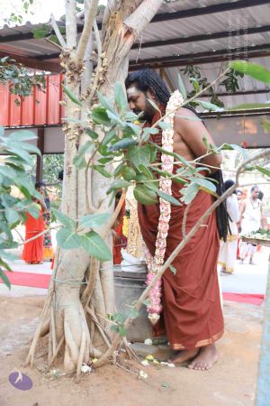 20180115 Photo 1150 1WRftYseL-iQyiMNIRnLEROQu6uQAeJ8g.JPG