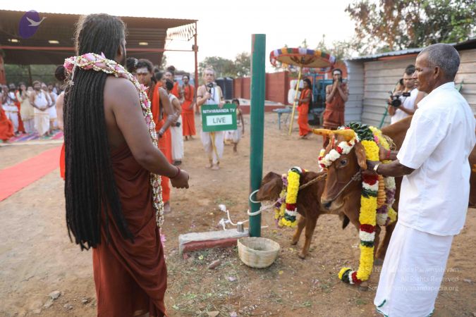 20180115 Photo 1161 1jdBzzYX3sVOLm0GxZIubH0ONwvUIZxbU.JPG