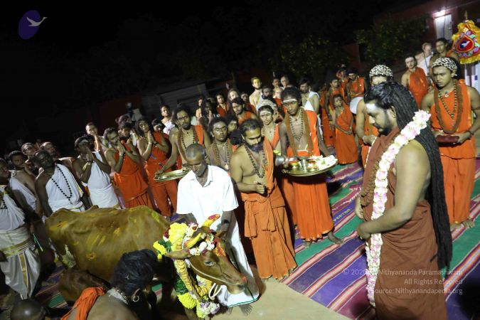 20180115 Photo 1210 1BSLMwnreJdQZjkkVqkQ9sKHpVRbzViju.JPG