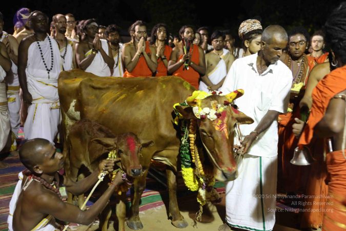 20180115 Photo 1221 1 trFOWW bTp8YmCLSzXWhsqq7 IQDh14.JPG