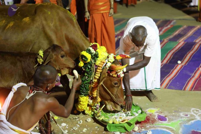 20180115 Photo 1231 1cFwfBSt-qIIKVwdRLwJYDaKDvUrycPyi.JPG