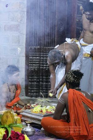 20180128 Photo 273 1ReuE79CUfMhEQiUojHGo-r1s0br bekr.jpg