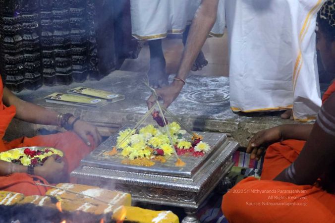 20180128 Photo 274 1SSCf8PNXt2KJm0SpiWSZrzvz6EIlKYzw.jpg