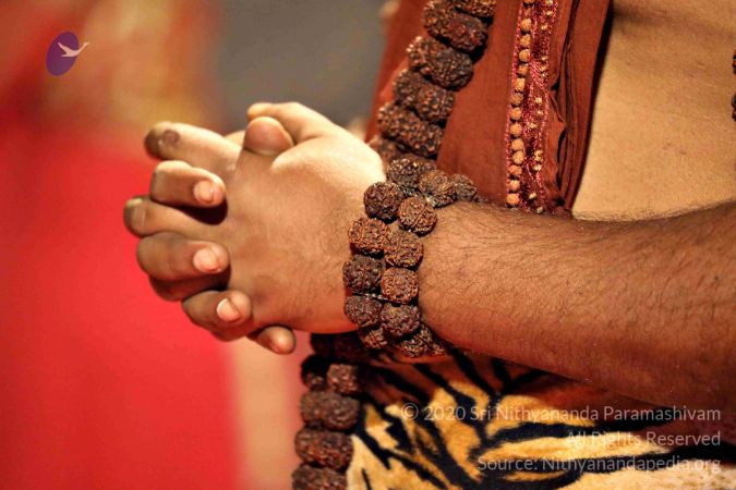 20180131 Photo 330 1lVLPdbY9WHXGmnUeAXySFLiCc2cHYtYW.jpg