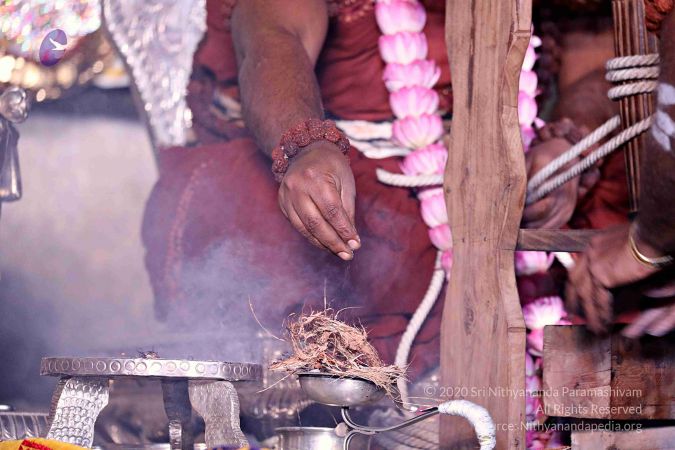 20180131 Photo 866 1a5sm4RItIDS0Dtb8taYL3EeHeBk5SMil.jpg