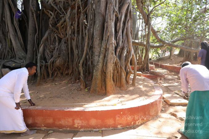 20180201 Photo 102 1S90LAcBEZ5jmOKM4fNLwb eUXOzJdrcS.jpg