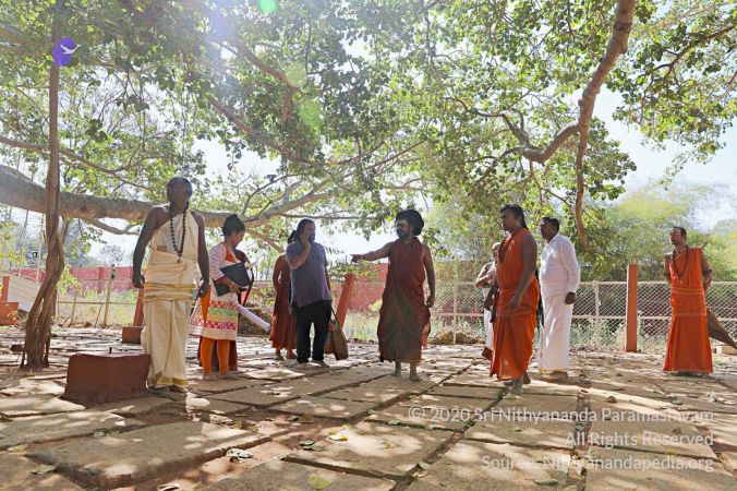 20180201 Photo 128 1Vg6qne3dt0OXHmJzMrXDLlJ2Kv5tZHOz.jpg