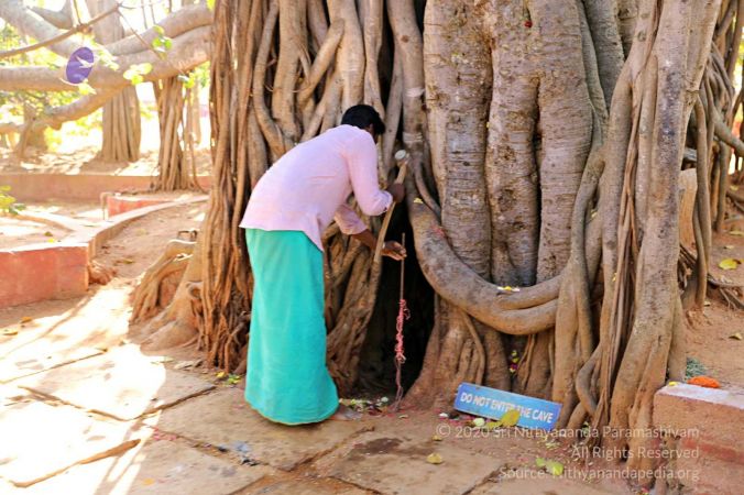 20180201 Photo 167 1 LUQ4PFNVFy42LiIJ rnmt6PR8axjKeS.jpg