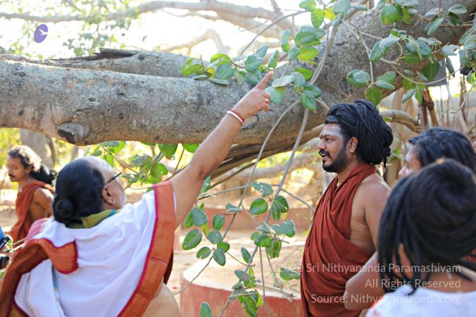 20180201 Photo 193 19vlbW2BVnsivvdXyDxzOktKGUZLBitdd.jpg