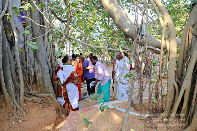 20180201 Photo 202 1SUjf0V2xRz1SNjFALu-ZIMV-0Y90Y0bn.jpg